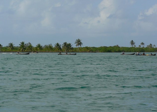 115- Retour des plantations sur le continent 